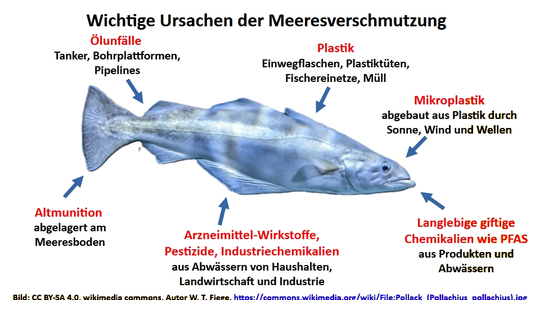 Schema: Meeresverschmutzung, die Fische und andere Meerestiere beeinträchtigt 