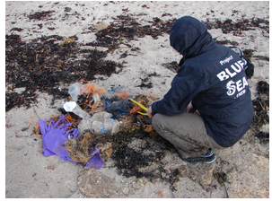 Angespülte Plastikfunde am Strand bei einem Clean-up 	